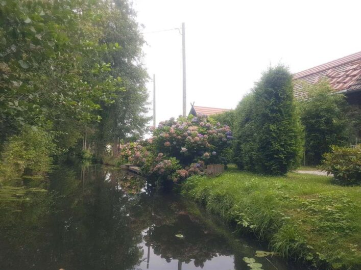 Gehöft mit Blumen an einem Fließ im Spreewald