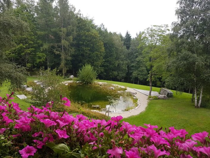 Naturschwimmteich am Kranzbichlhof