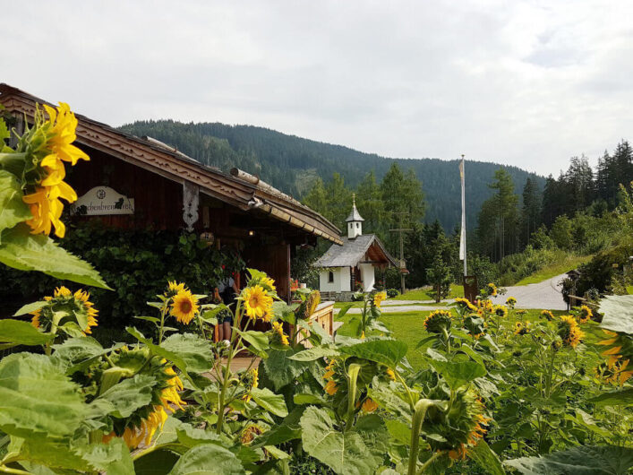 Blick auf die Latschenölbrennerei am Mandlberggut mit Sonnenblumen im Vordergrund und einer Kapelle im Hintergrund