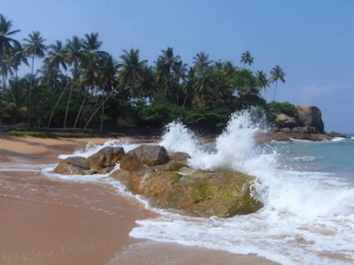 Blick auf die Küste in Sri Lanka mit Palmen im Hintergrund