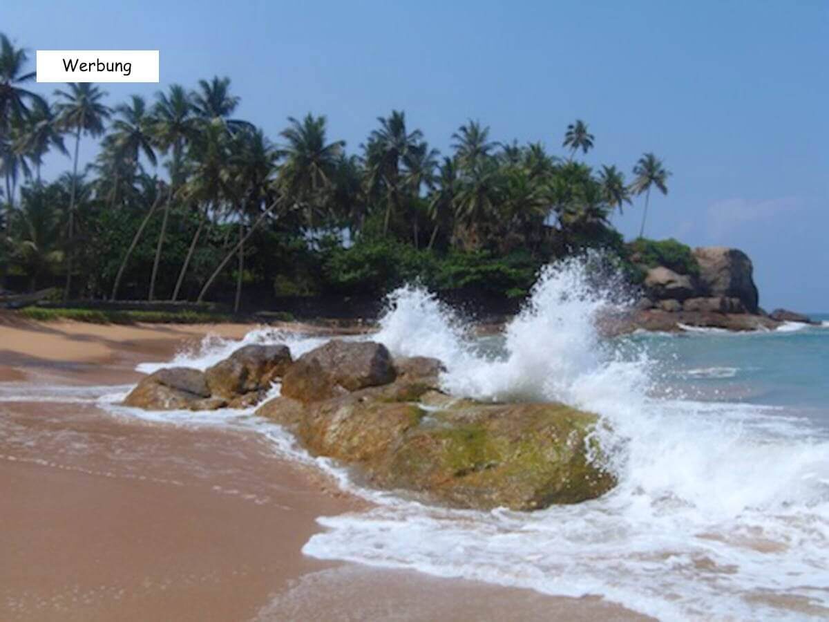 Blick auf die Küste in Sri Lanka mit Palmen im Hintergrund