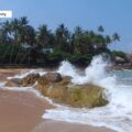 Blick auf die Küste in Sri Lanka mit Palmen im Hintergrund