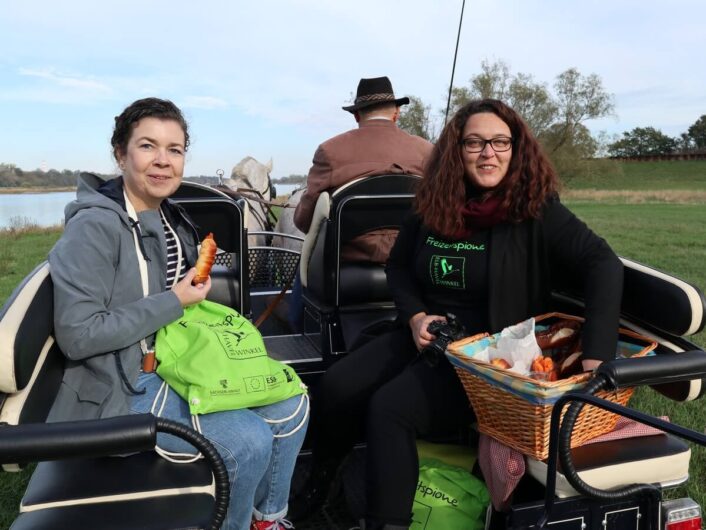 mit Picknick-Korb in der Kutsche