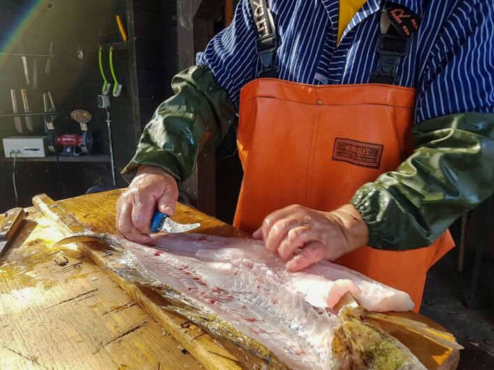 fangfrischer Fisch wird gereinigt