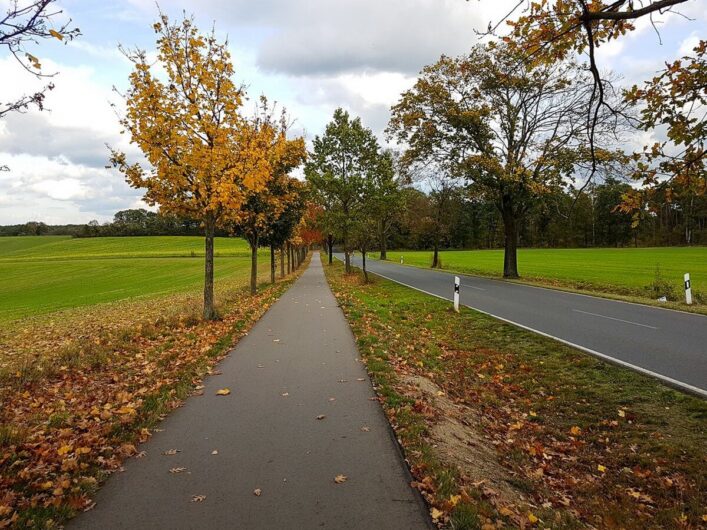 Radweg im Seenland Oder-Spree