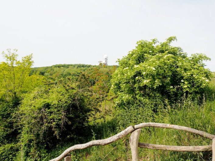 Blick vom Drachenberg zur Abhörstation auf dem Teufelsberg