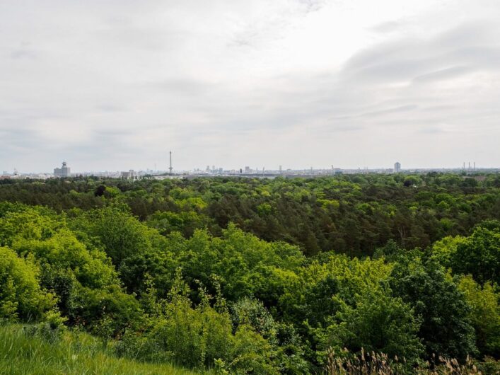 Blick vom Drachenberg über Berlin