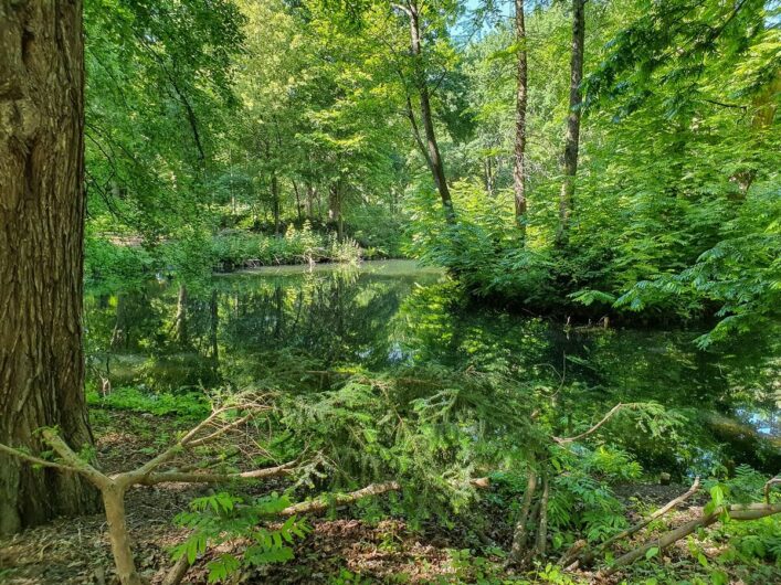 Wasserlauf im Großen Tiergarten Berlin