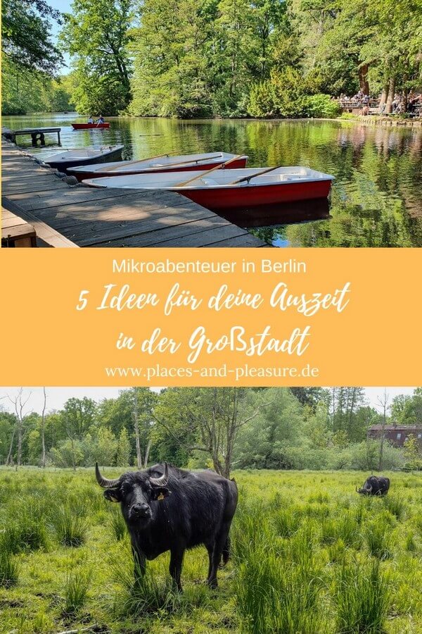 Kurz dem Trubel der Großstadt entfließen. Natur in der Stadt und Seen laden zum Entspannen ein. 5 Mikroabenteuer in Berlin stelle ich dir hier vor. #Berlin #Auszeit #Mikroabenteuer #NaturinderStadt