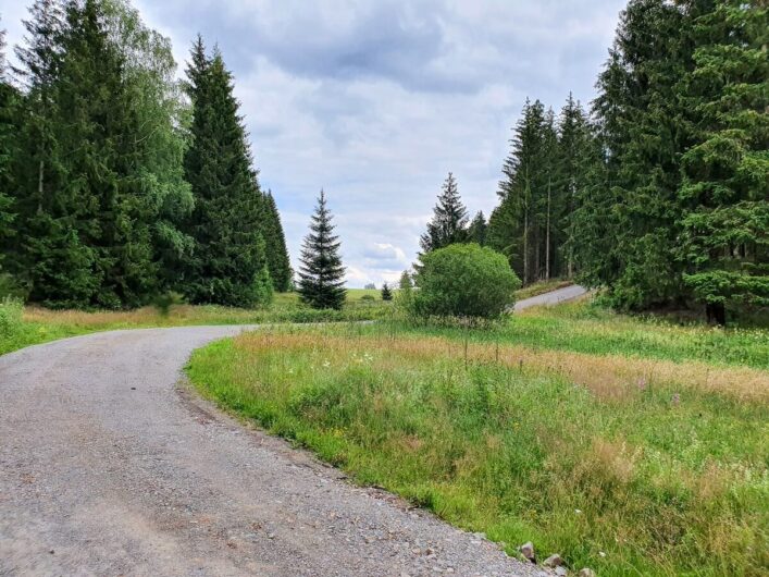 Wanderweg im Harz