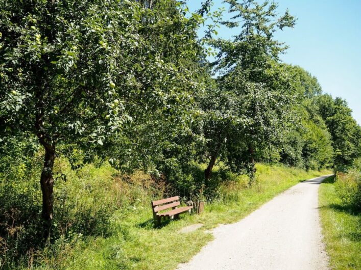 Bank am Weg neben dem Ludwig-Donau-Main-Kanal