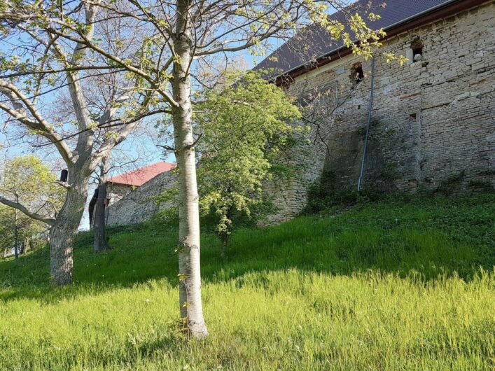 Blick auf die Mauern von Kloster Posa