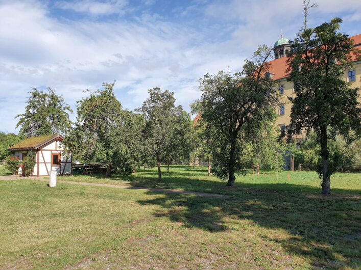 Streuobstwiese im Obstgarten des Zeitzer Schlossparks