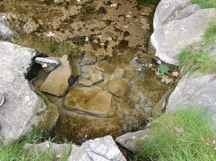 Paderquellbecken, das fast wie eine Pfütze wirkt