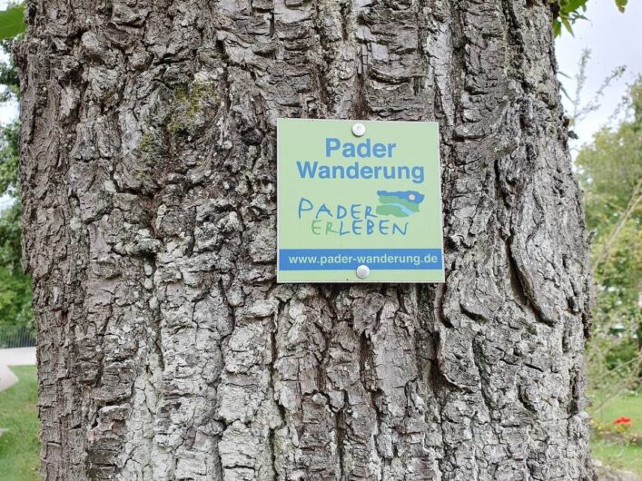 Wegweiser zur Paderwanderung an einem Baumstamm