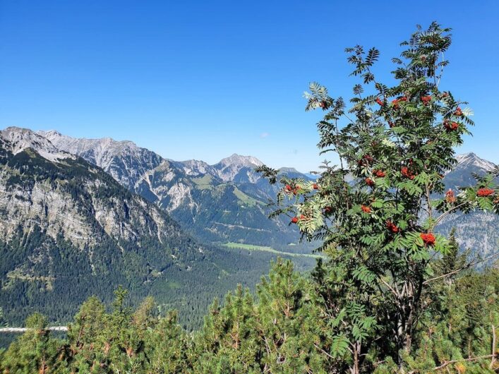 Blick ins Karwendel