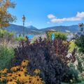 Blick auf den Tegernsee und die Bergwelt