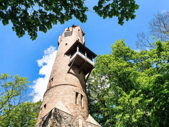 Blick hoch zum Bismarckturm mitten im Wald