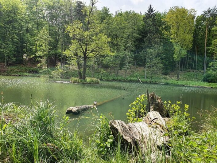 Teufelssee in der Märkischen Schweiz