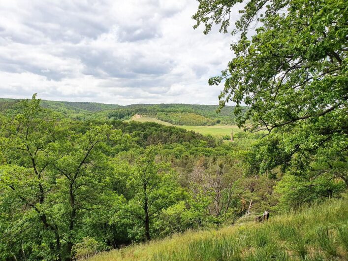 Blick auf die hügelige Landschaft am Thüringer Blick