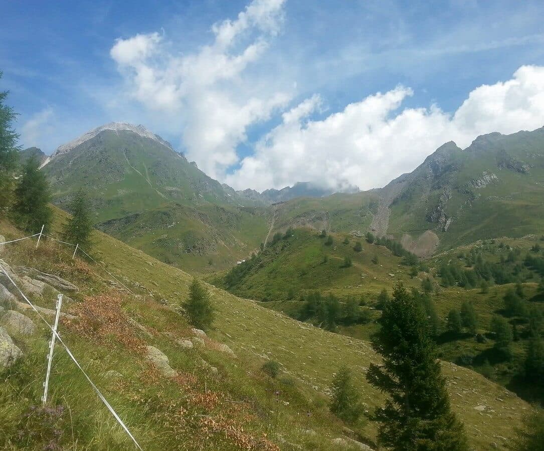 Weg hinauf zum Erlebnisbergwerk Schneeberg vorbei an saftigen Wiesen