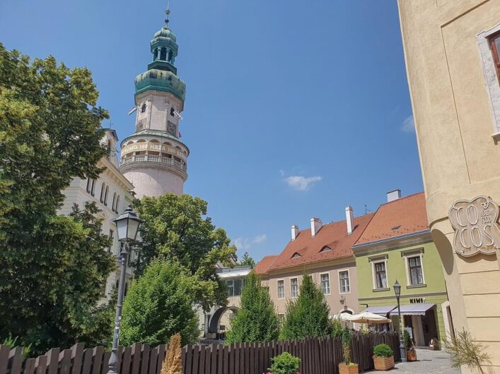 Feuerwachturm von Sopron hinter Bäumen