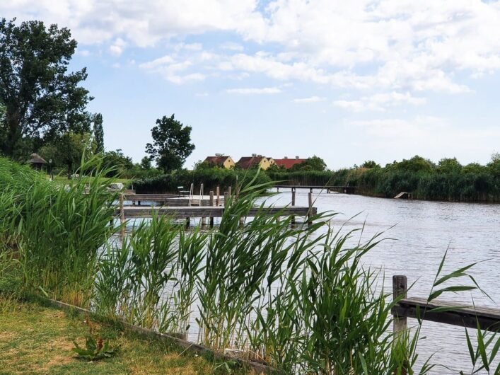 Stege und Schilf im Stadthafen von Rust am Neusiedler See