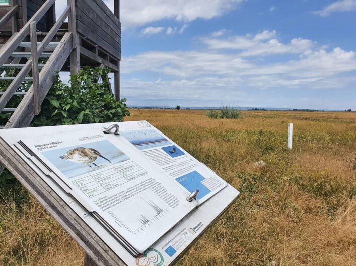 Infotafel an einem der Freisitze für Vogelkundler im Burgenland