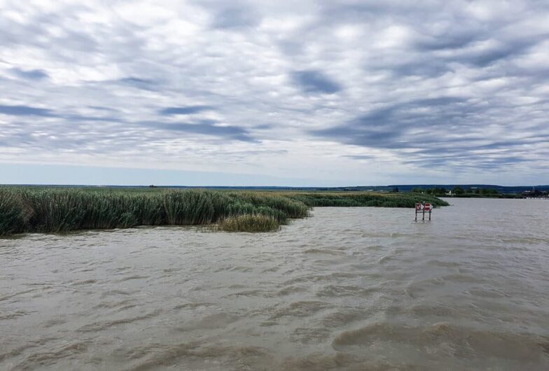 Blick vom Schiff zum Ufer des Neusiedlersees