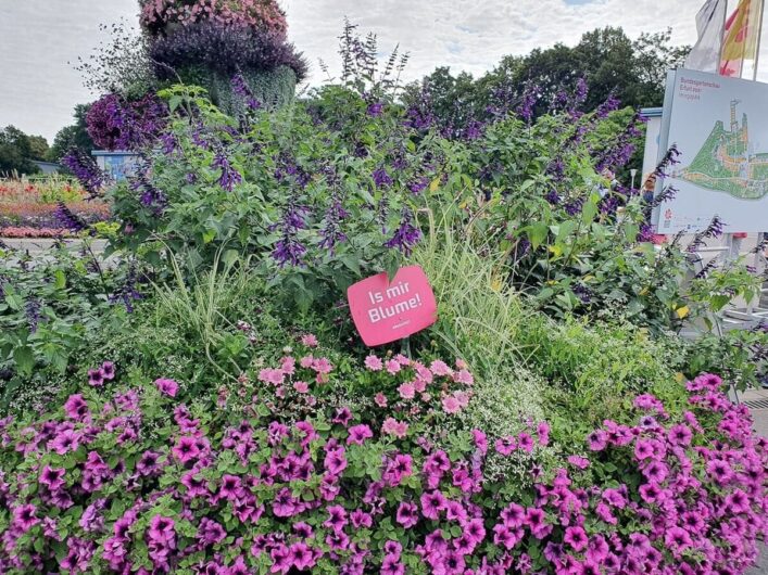 Blühende Blumenrabatten hinter dem Eingang am egapark