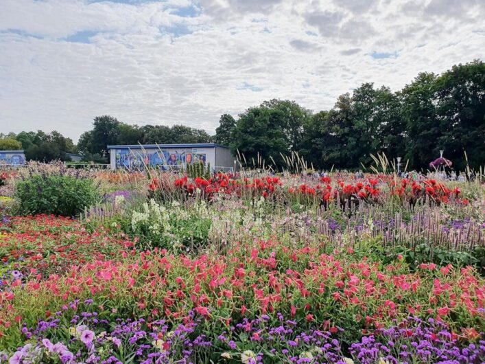 bunte Blumenrabatten auf der Buga in Erfurt