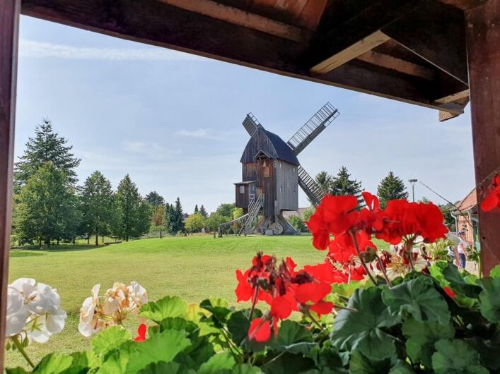 Bockwindmühle in Grieben durch Blumenfenster betrachtet