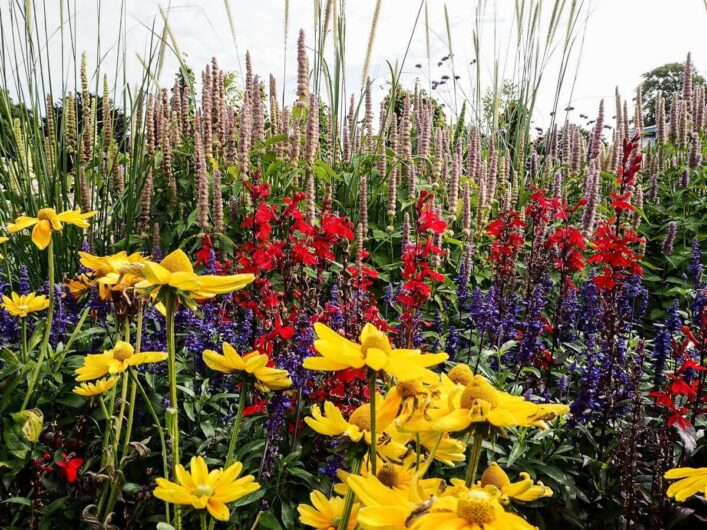 gelbe, rote und violette Blumen auf der Buga in Erfurt