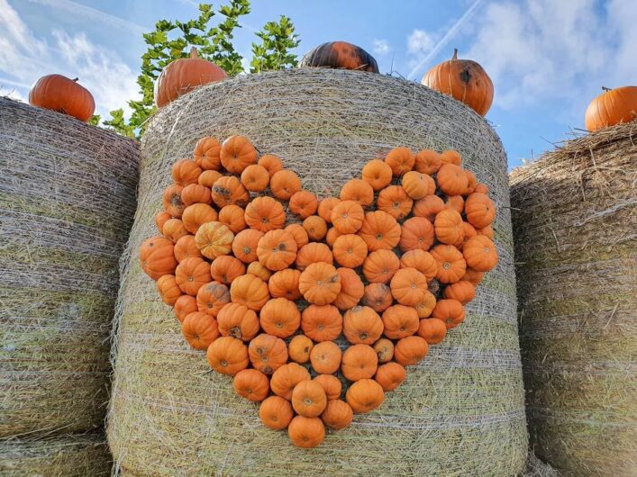 Herz aus Kürbis auf einem Strohballen