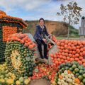 Martina auf einem aus Kürbissen gestalteten Traktor