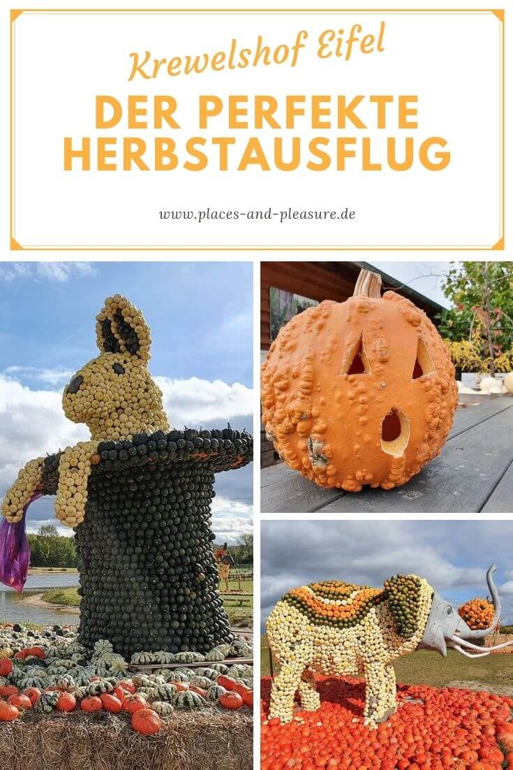 Auf dem Krewelshof Eifel erwartet dich die größte Kürbisausstellung in NRW. Perfektes Ziel für den Herbstausflug für die ganze Familie.