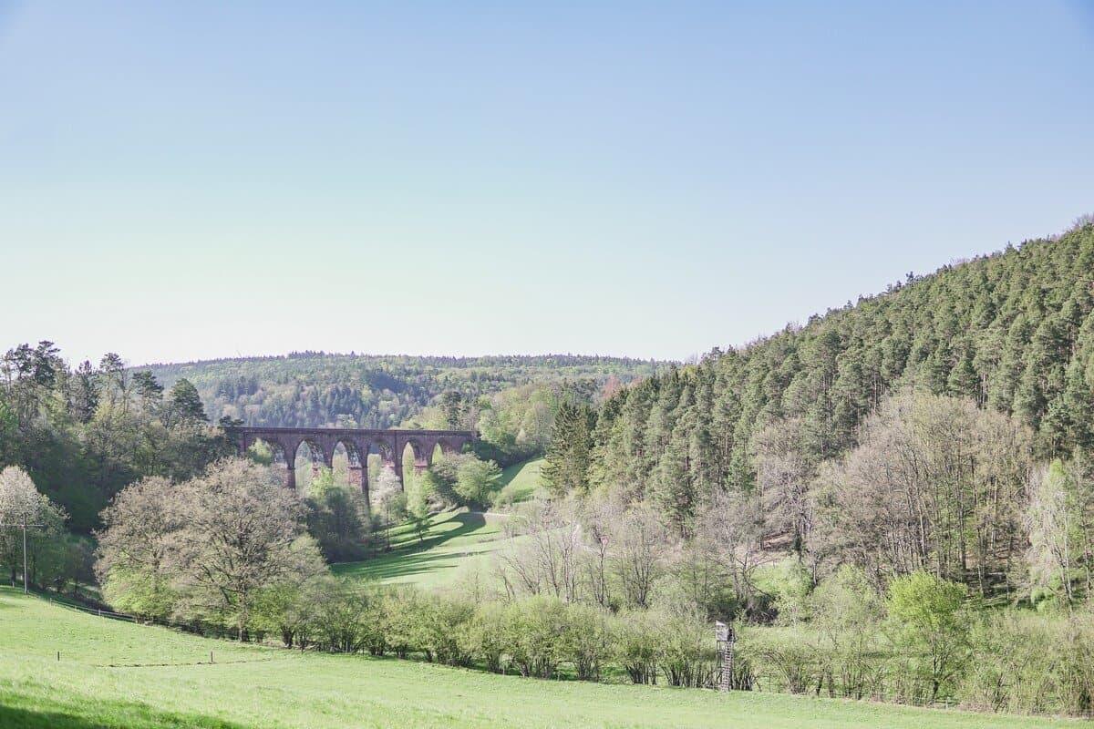 Blick durch die grüne Waldlandschaft auf das Himbächelviadukt