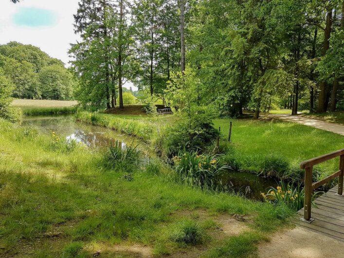 Blick auf Grün und Wasser im Park Branitz
