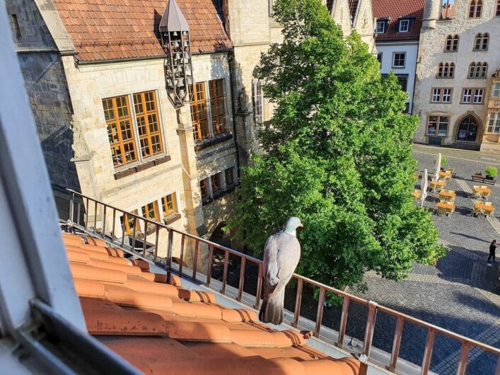 Blick auf den Hildesheimer Marktplatz vom Hotelzimmer