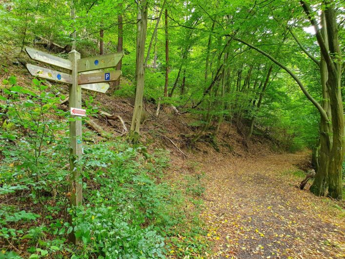 Wanderschilder im Nationalpark Kellerwald-Edersee im Waldecker Land