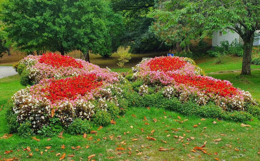 aus Blumen gepflanzter Schmetterling im Kurpark von Bad Wildungen