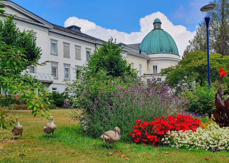 Sitemapcdatahttpautocellcare1combenzinpreis Bad Wildungen