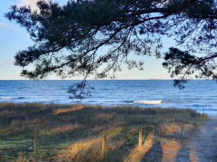 Blick auf die Ostsee mit Schiff im Hintergrund