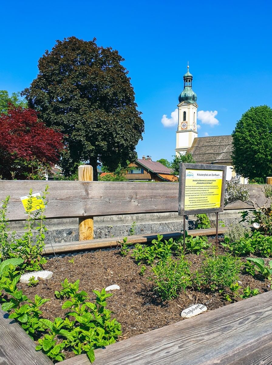 Kräuterbeet am Dorfbach Lenggries mit Blick auf die Kirche