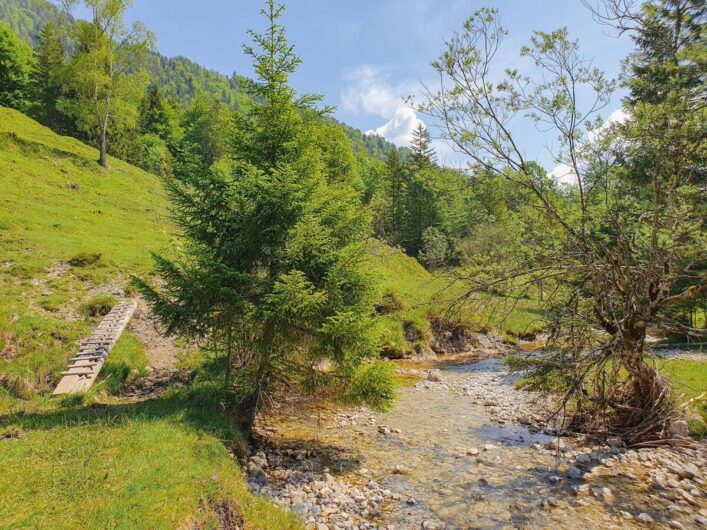 Schronbach im Isarwinkel