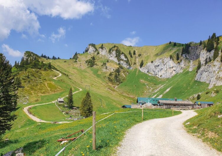 Blick auf die Stiealm vor der Bergkulisse