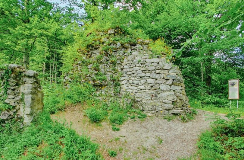 Überwucherte Fragmente der Burgruine Hohenburg im Isarwinkel