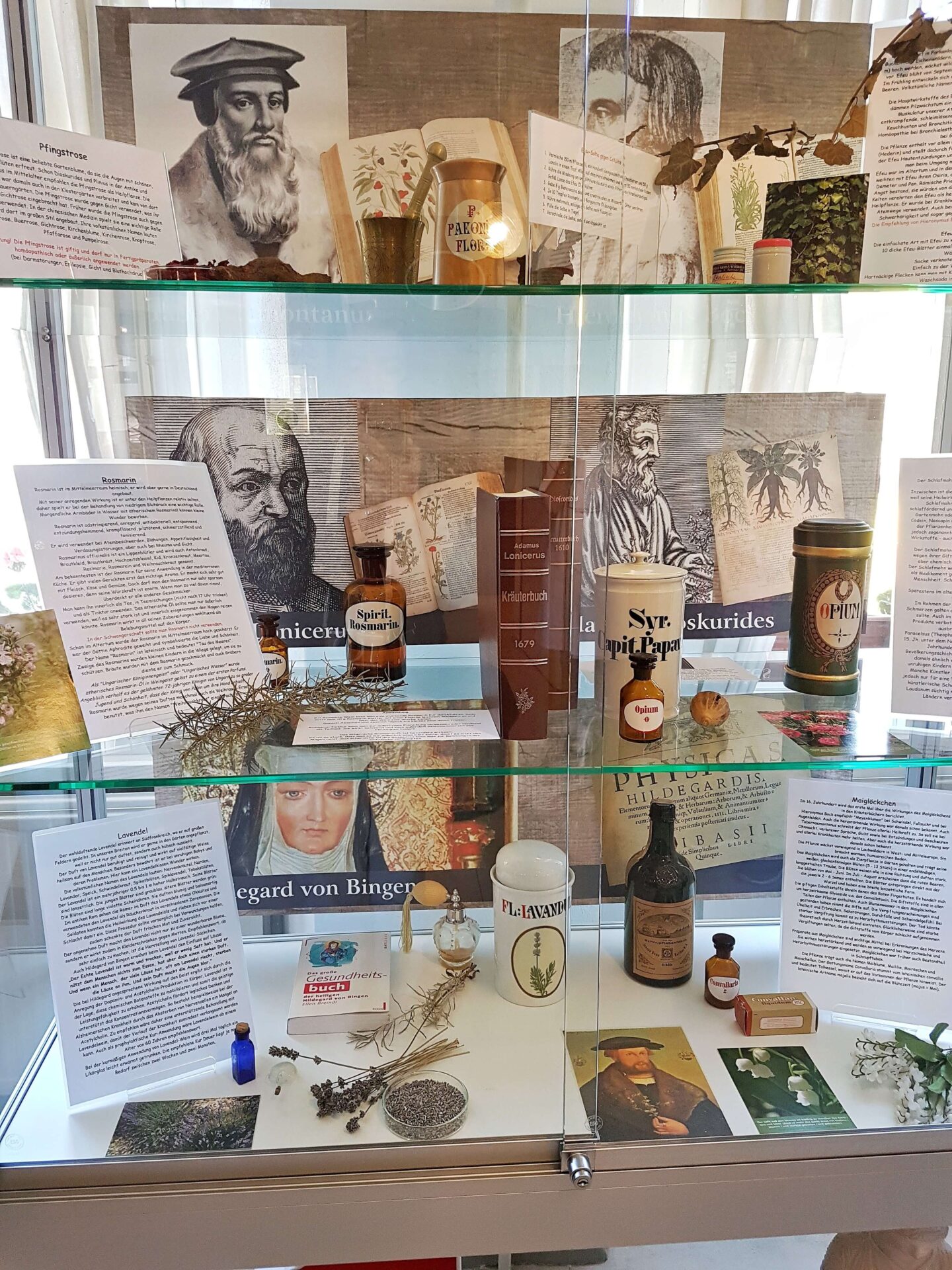 Informationen in Vitrinen als Teil der Sonderausstellung