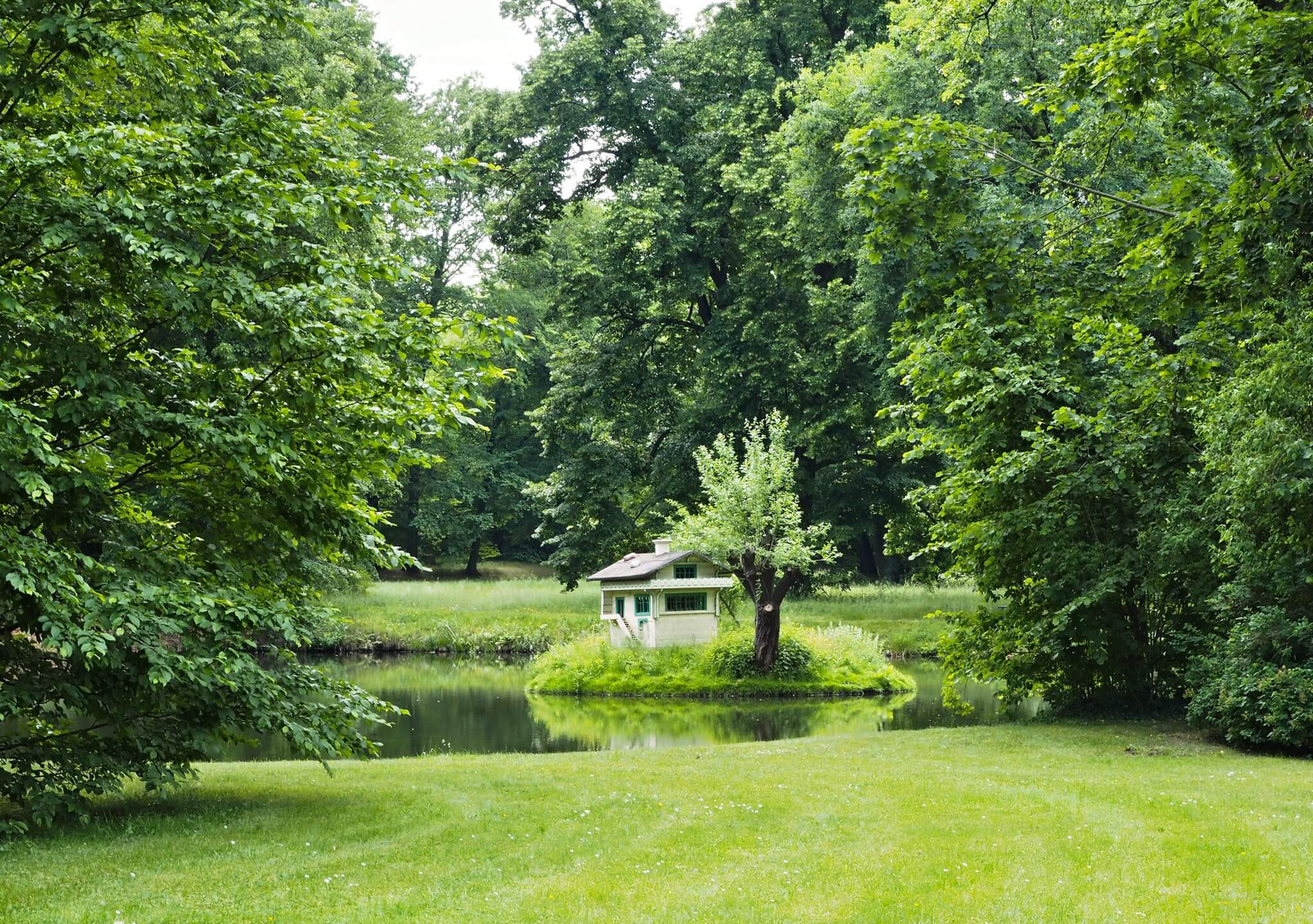 Details auf dem Wasser im Pückler-Park