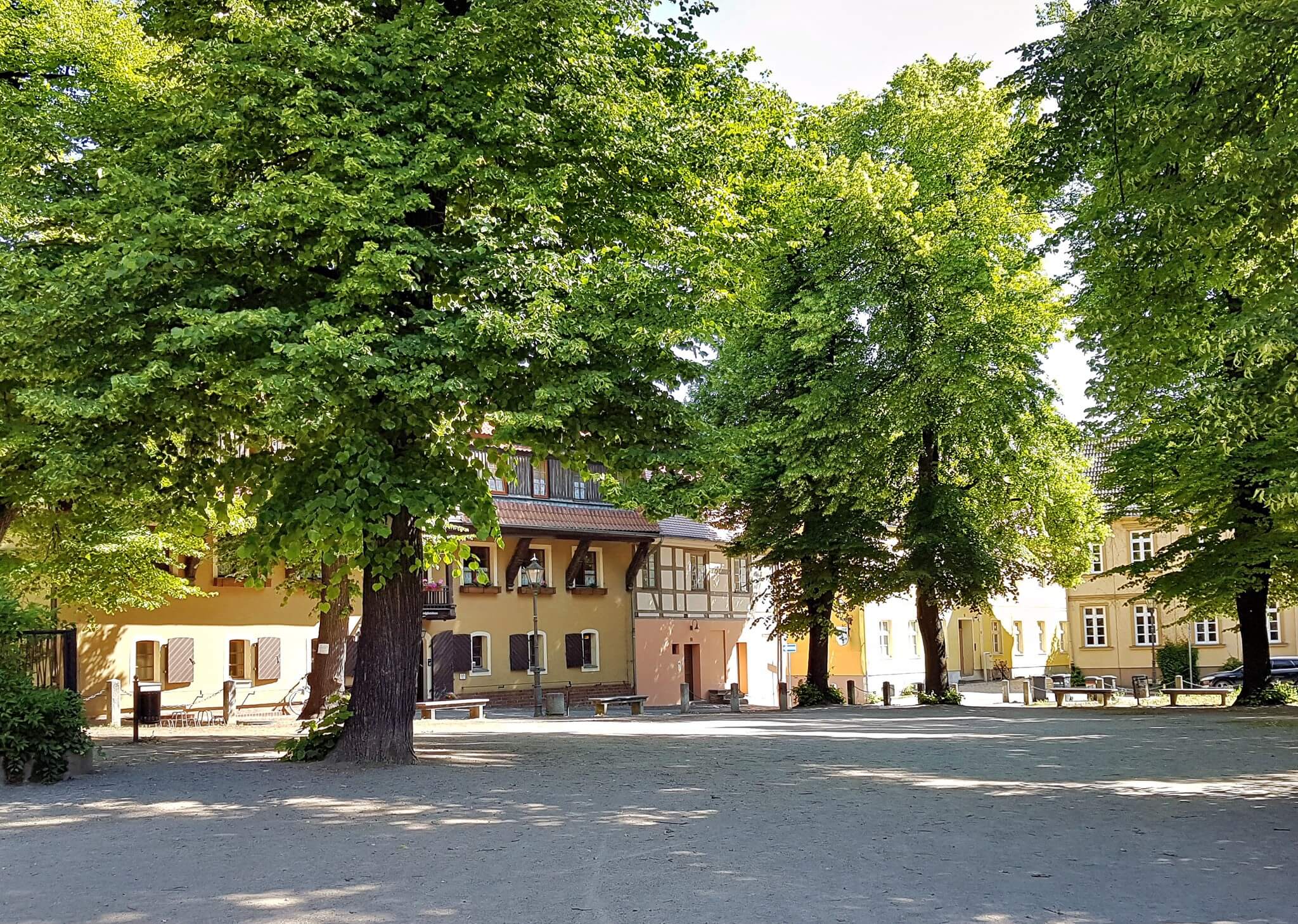 Klosterplatz in Cottbus mit grünen Bäumen und Häusern im Hintergrund